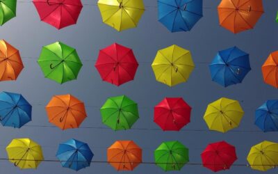 What Kind of Business Insurance Do I Need?